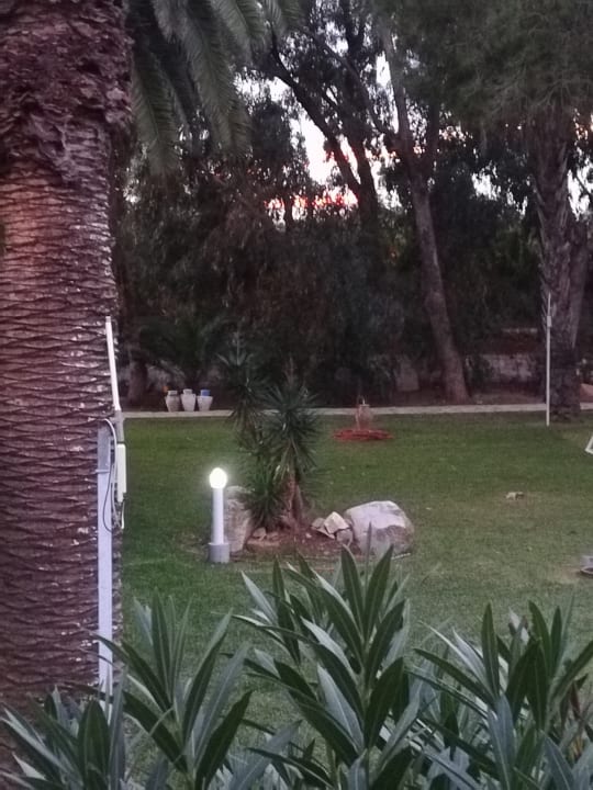 Ausblick The Orangers Beach Resort and Bungalows