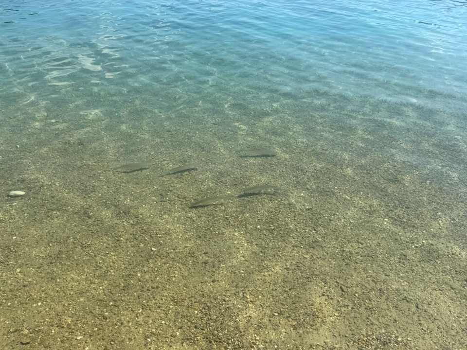 Strand La Blanche Island Bodrum