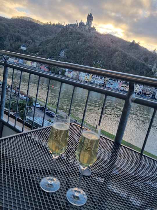 Ausblick Moselstern Hotel Brixiade & Triton