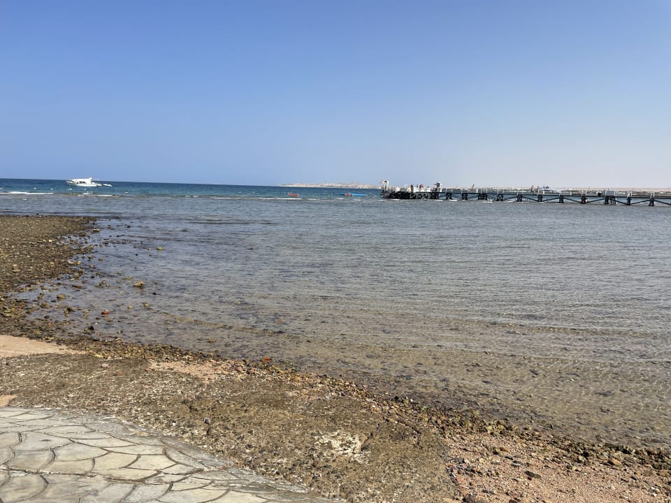 Pool Beach Albatros Resort