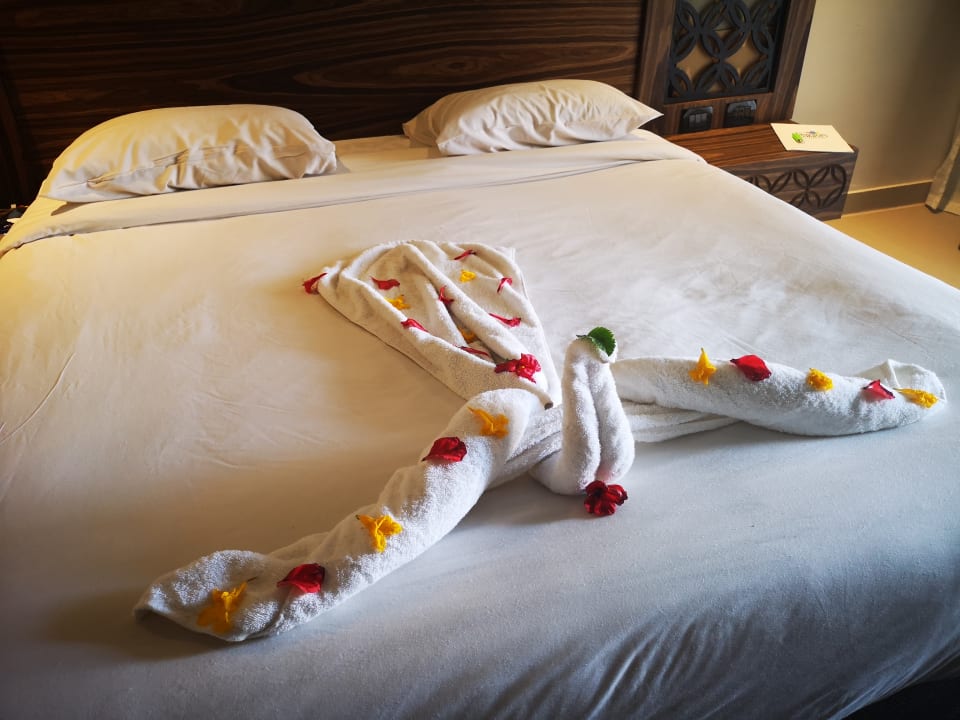 Zimmer Jasmine Palace Resort & Spa