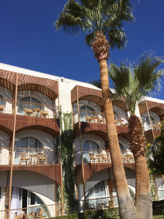 Sonstiges Desert Rose