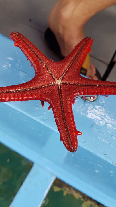 Sonstiges Hotel Southern Palms Beach Resort