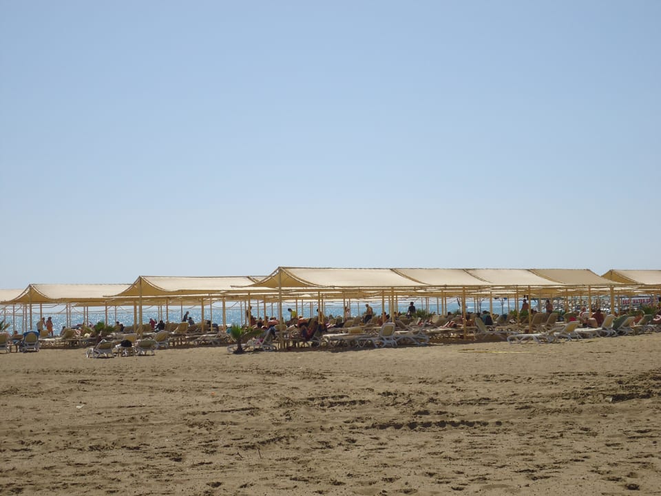 Hotel Strand Aydinbey Kings Palace & Spa