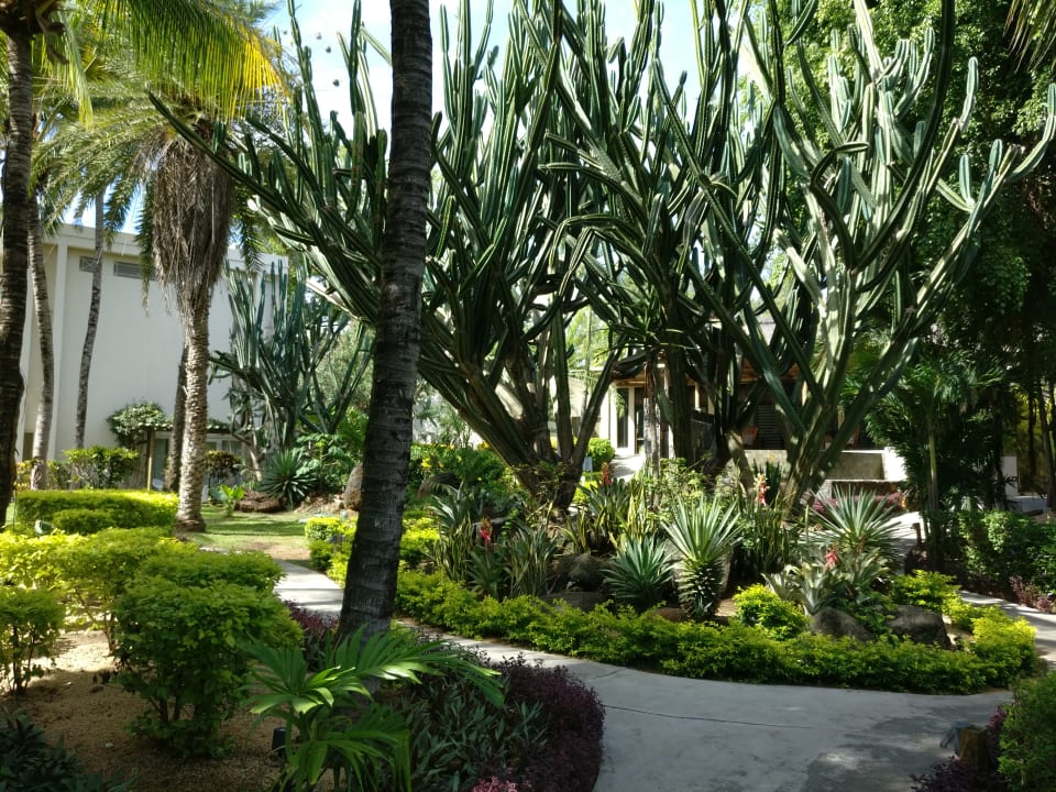 Gartenanlage Lagoon Attitude - Adults only