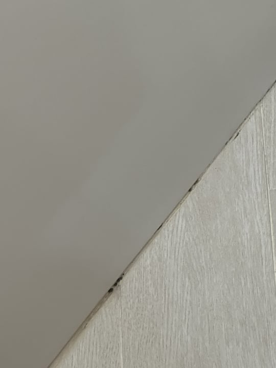 Zimmer Sandos El Greco Beach Hotel 16+