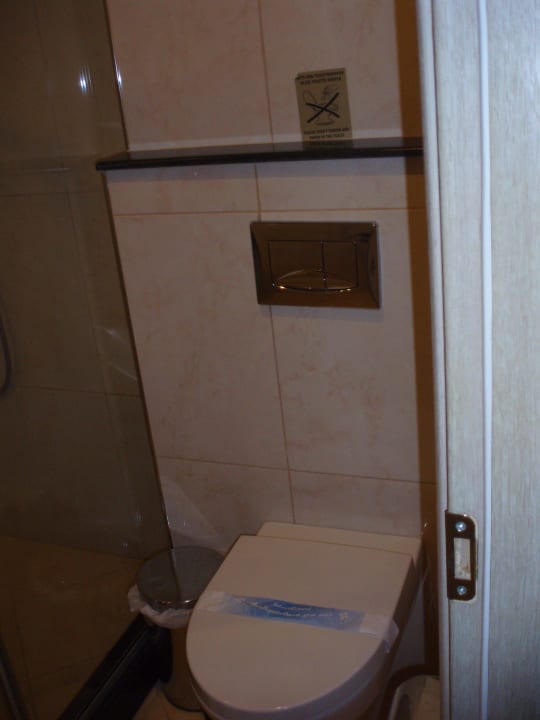 Toilette Cactus Royal
