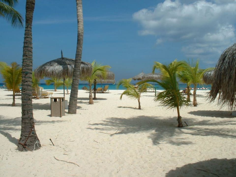 Hotel-Strand Manchebo Beach Resort & Spa