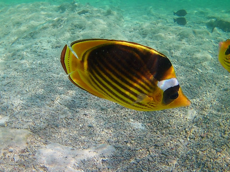 Strand Three Corners Sea Beach Resort