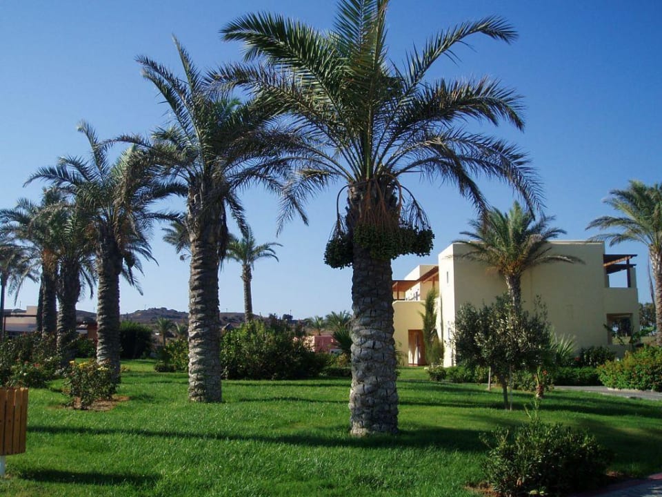 Teil der Hotelanlage Hotel Horizon Beach Resort