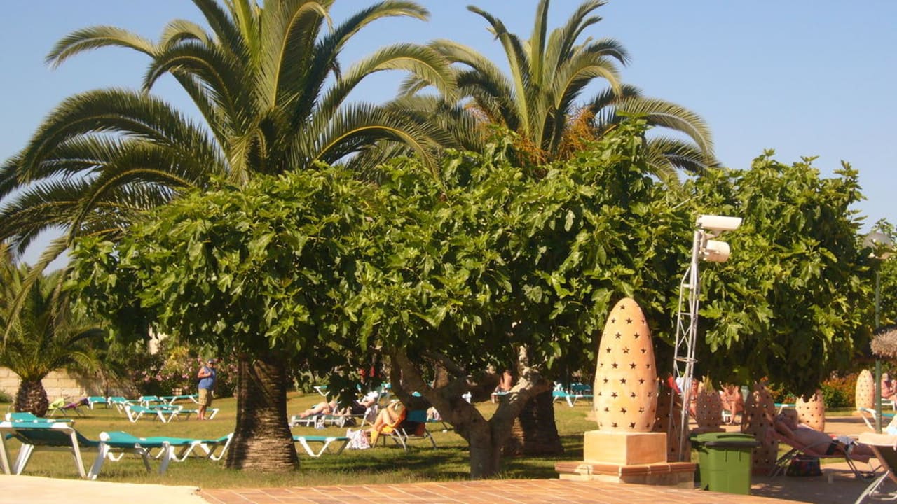 Schatige Plätzchen  Hotel Mariant Park