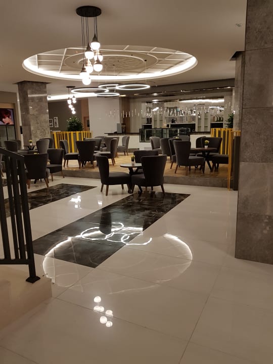 Gastro Seashell Vega