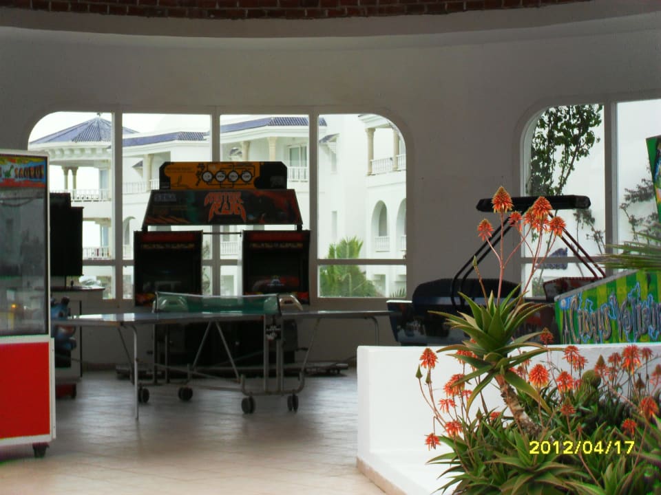 Stoły do ping-ponga Royal Tulip Taj Sultan