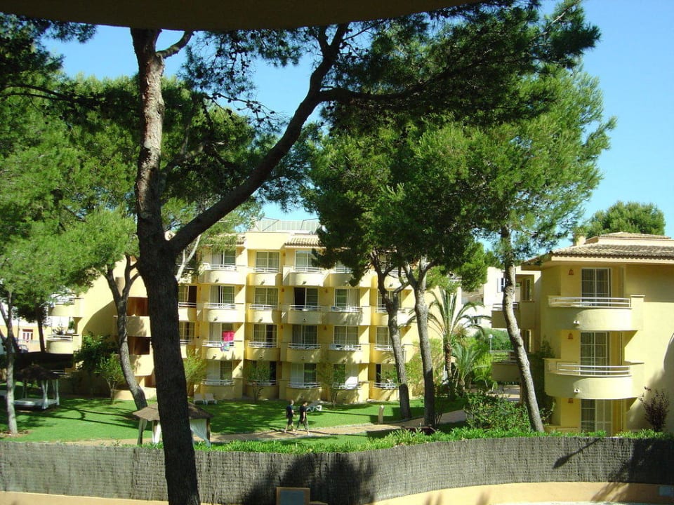 Aussicht Prinsotel La Pineda