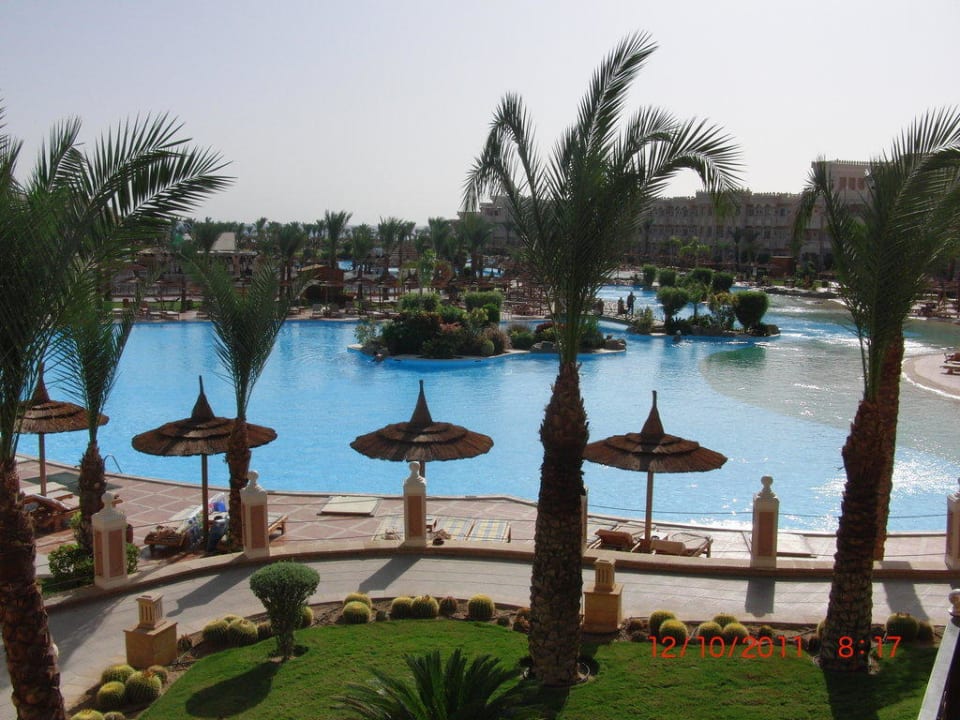 Pool Pickalbatros Palace Resort