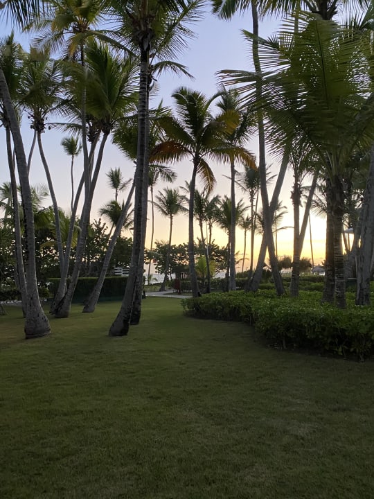 Gartenanlage Hotel Grand Palladium Palace Resort, Spa & Casino