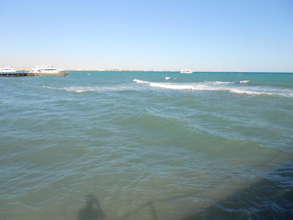 Море Desert Rose