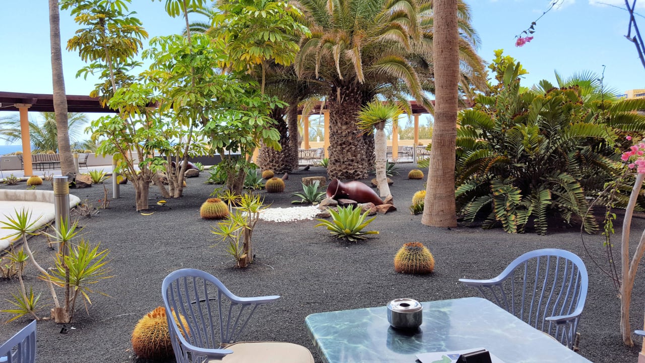 Gartenanlage Iberostar Selection Fuerteventura Palace