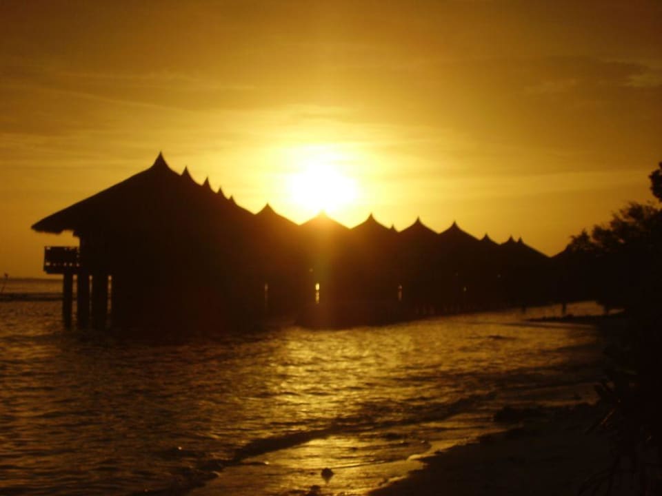 Wasserbungalows Riffseite Kuramathi Maldives