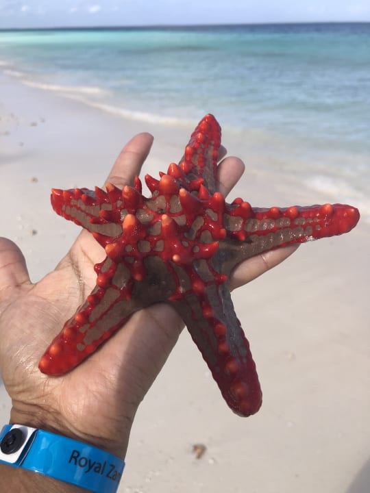 Strand Royal Zanzibar Beach Resort