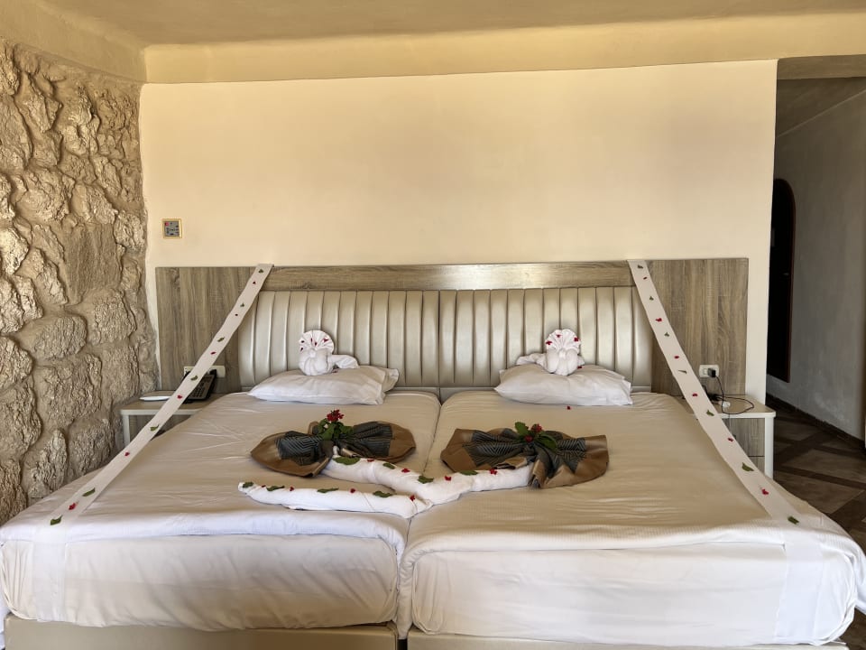 Zimmer Pickalbatros Citadel Resort