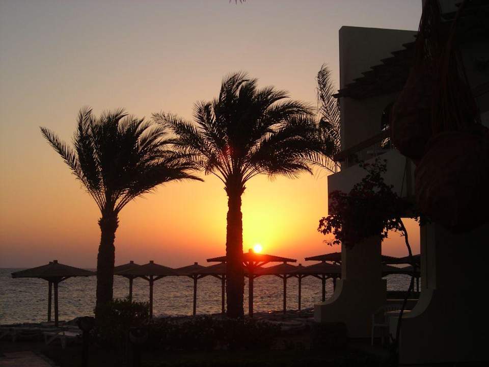 Sonnenaufgang Palm Beach Resort