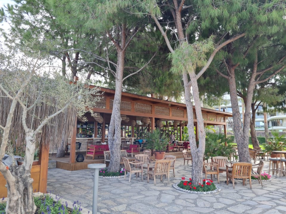 Gastro Arum Barut Collection