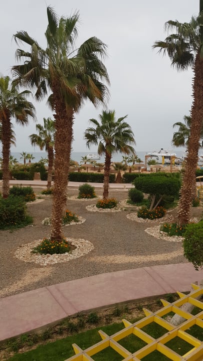 Palmengarten  Lotus Bay Beach Resort