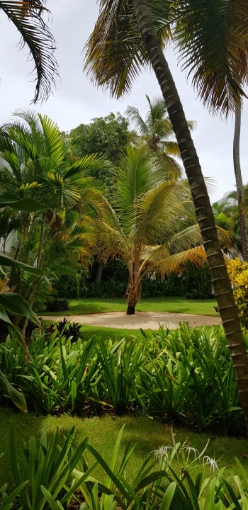 Gartenanlage Wyndham Alltra Samana