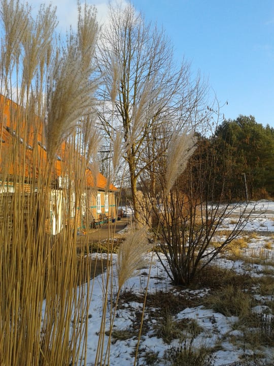 ...zur Anmeldung und zu den Anwendungen Rundlingsdorf Sagasfeld