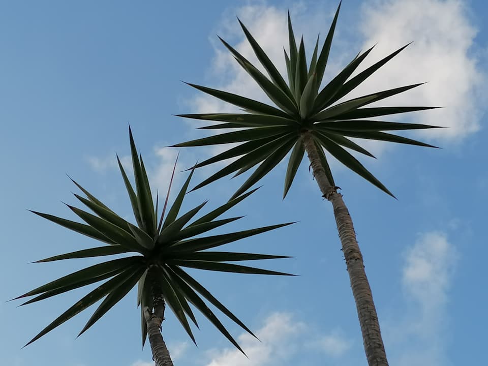 Außenansicht Parque Santiago III Official