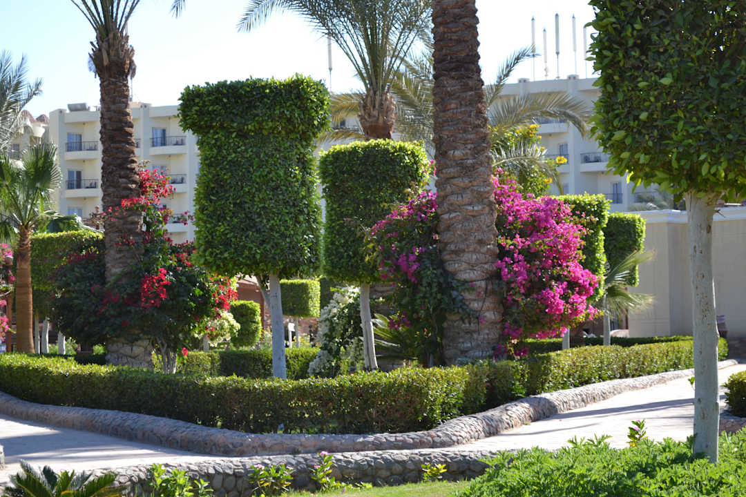 Сад на территории Riviera Aqua Park Resort