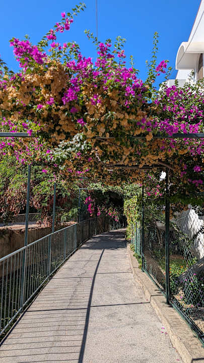 Sonstiges My Home Resort