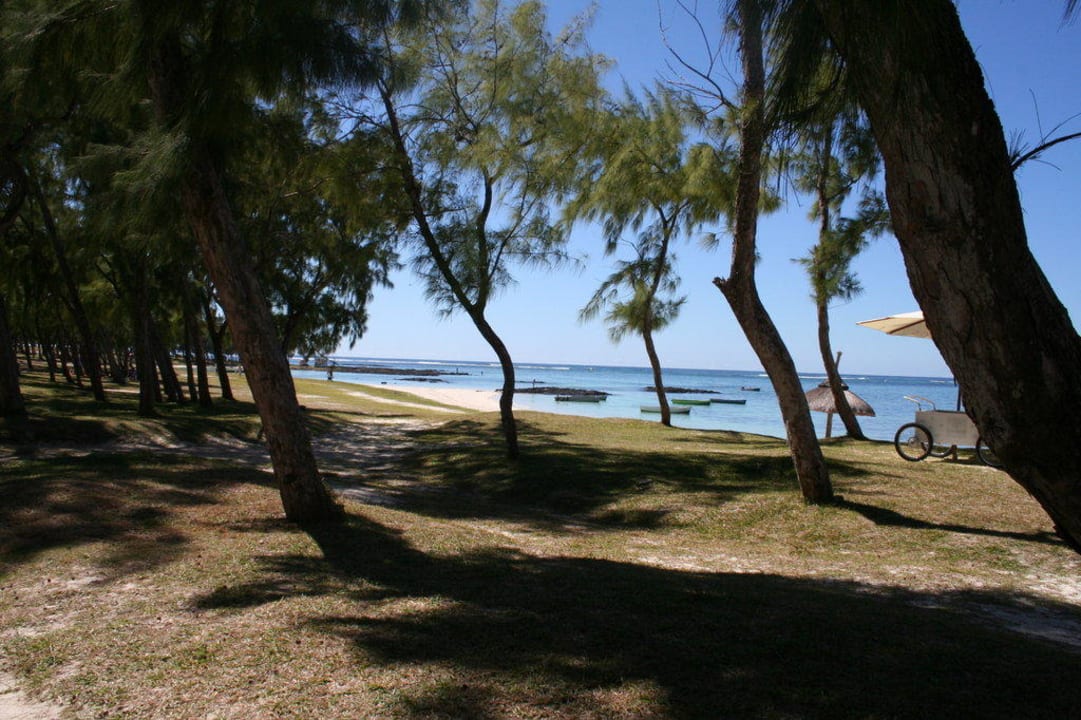 Plage face a l'hotel Sunrise Attitude - Adults Only