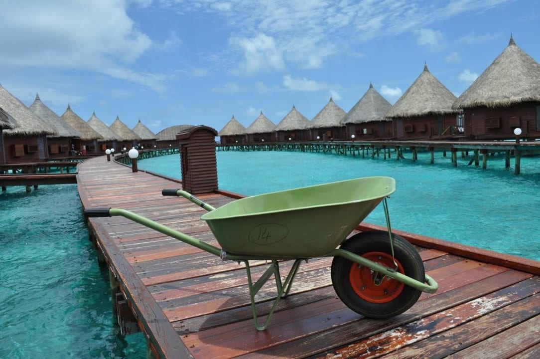 The house keeping use the barrow as a transport Angaga Island Resort