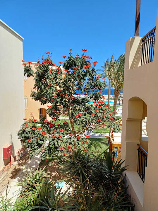 Gartenanlage TUI BLUE Samaya