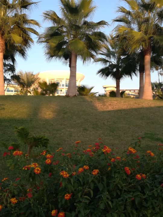 Außenansicht Sultan of Dreams Hotel & Spa