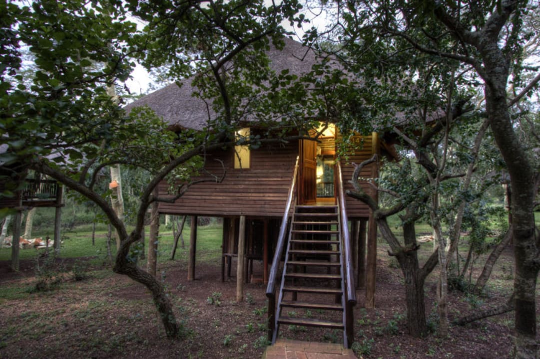 Zululand Tree Lodge cabin Ubizane Zululand Safari Lodge