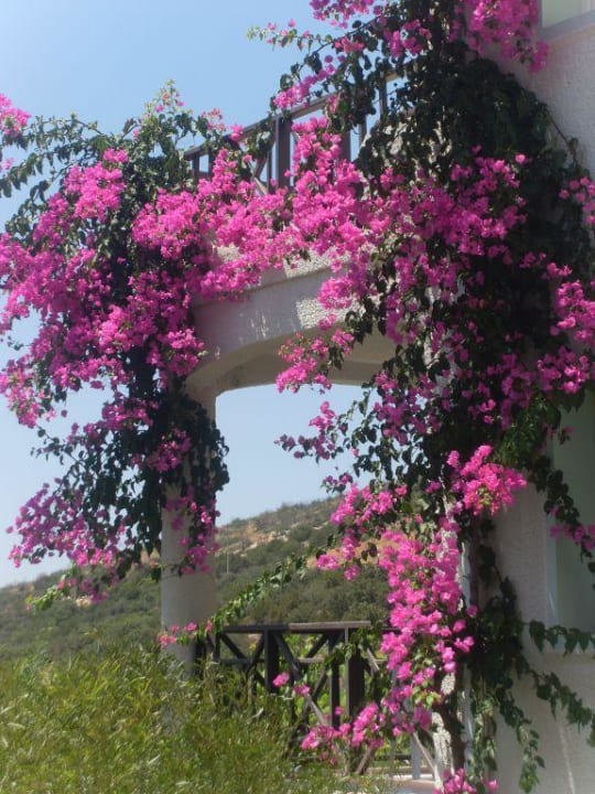Balkon Ausblick Bodrum Holiday Resort & Spa