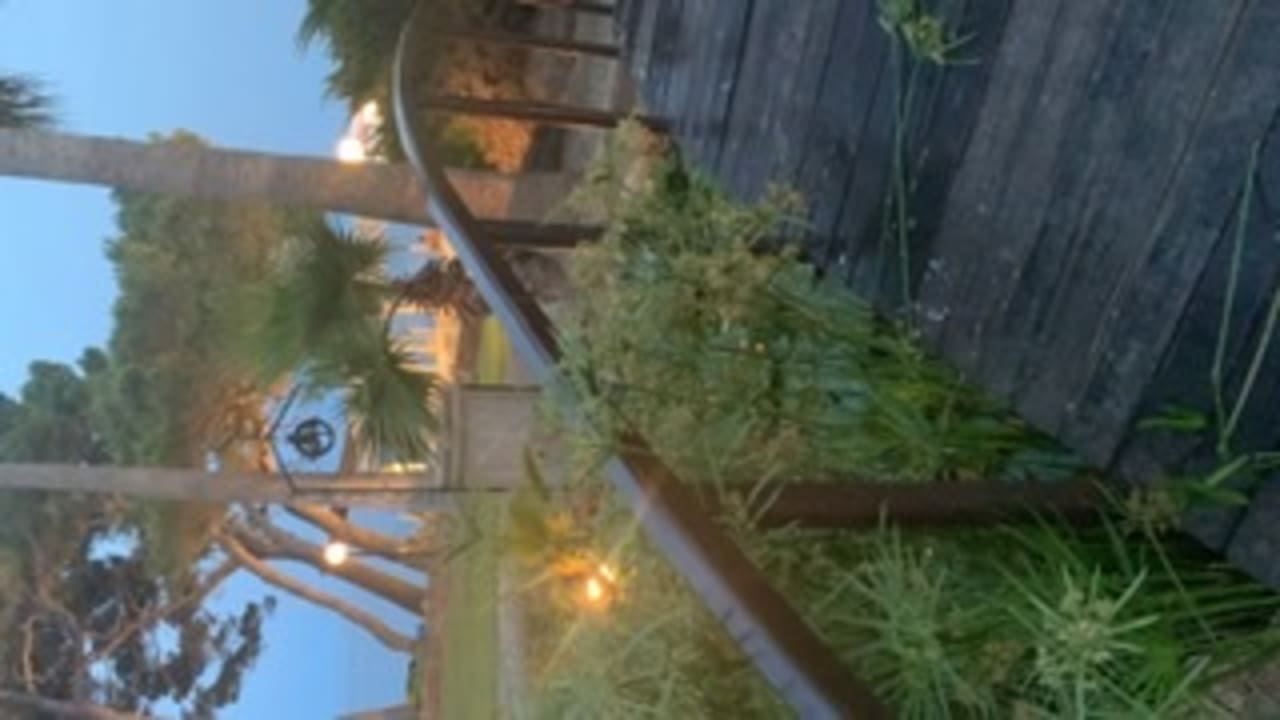 Außenansicht Hipotels Eurotel Punta Rotja Golf & Spa