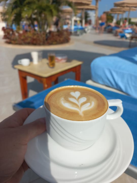 Gastro Pickalbatros Royal Moderna Resort-Sharm El Sheikh