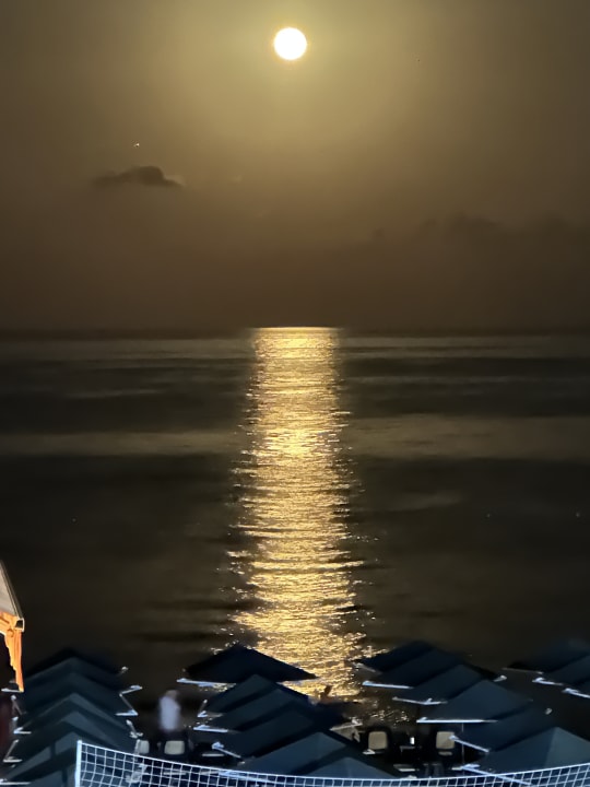 Strand Aleria Belport Beach Hotel