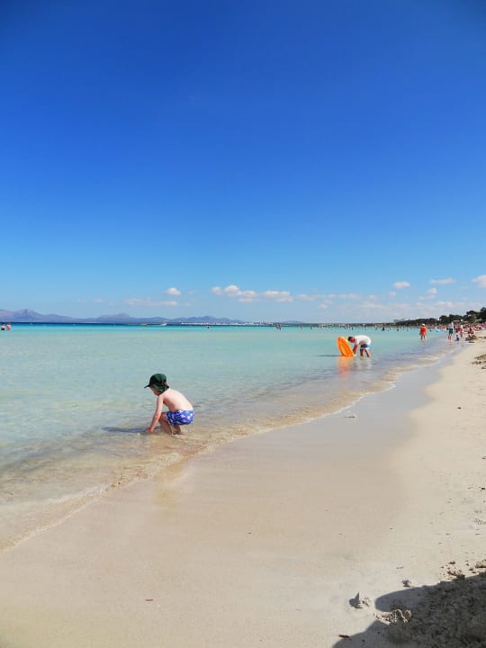 Strand mit Liegen um € 9,00 Hotel Condesa