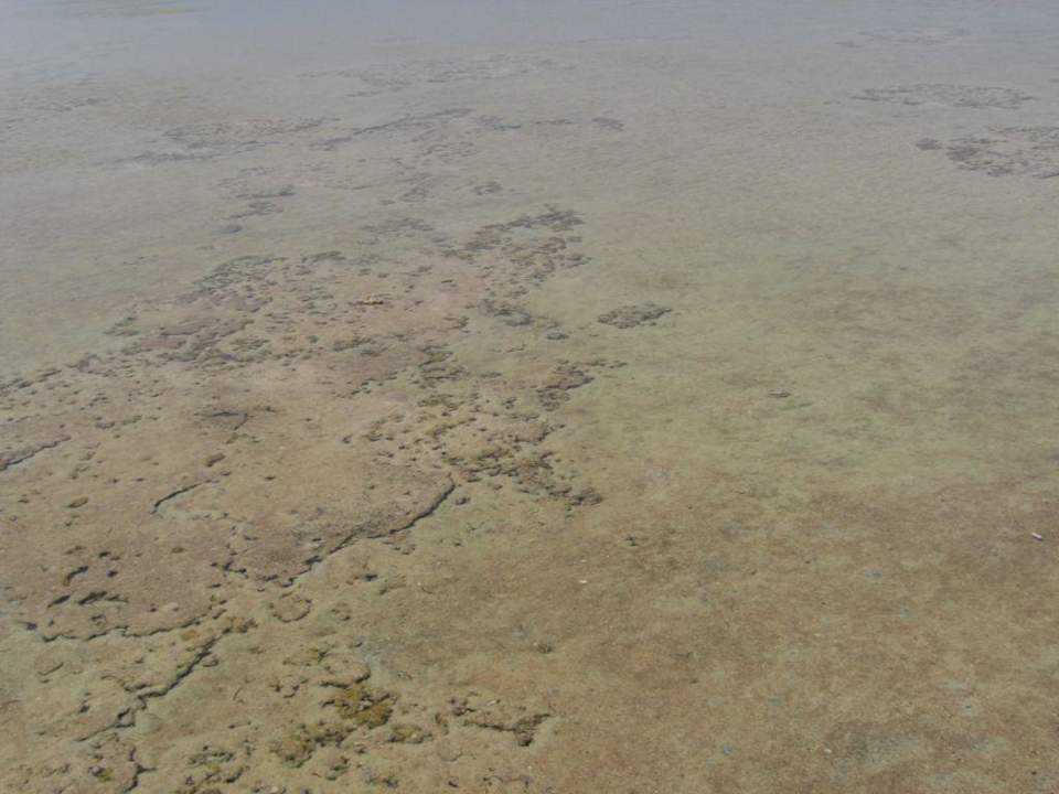 Meer Jaz Mirabel Park & Club