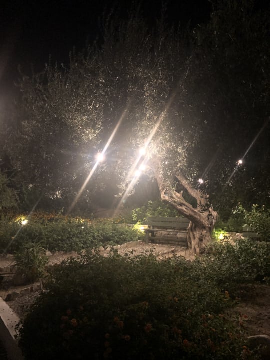 Gartenanlage alltoura Club Hotel Porto Angeli Beach Resort