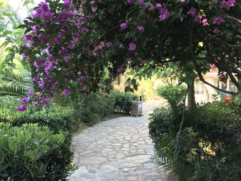 Gartenanlage Apollonia Beach Resort & Spa