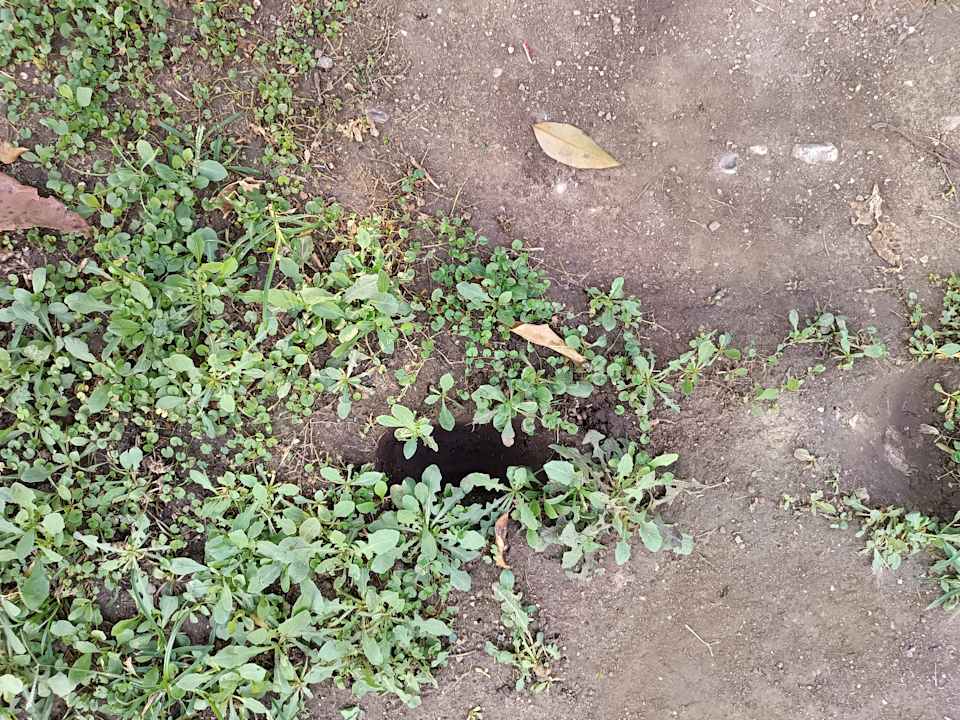 Außenansicht The Nix Hotel Kemer