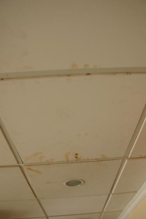 Eine Deckenansicht ALEGRIA Colonial Mar