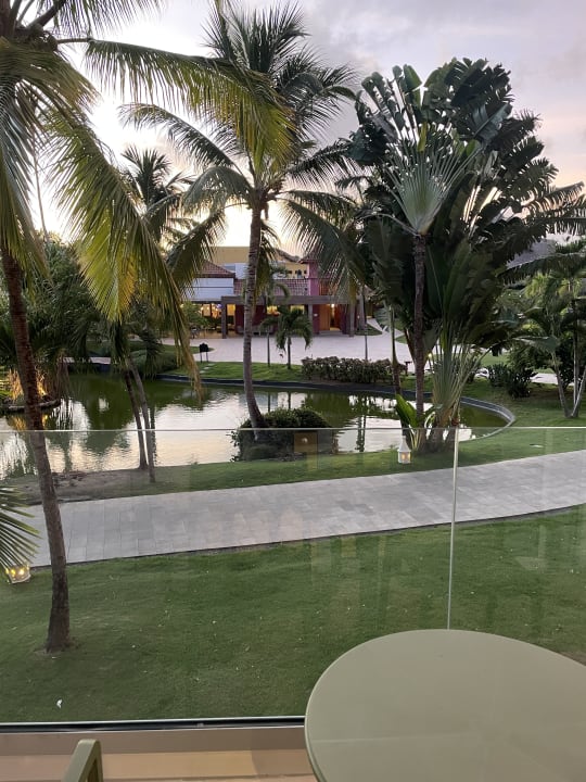 Zimmer Tropical Deluxe Princess