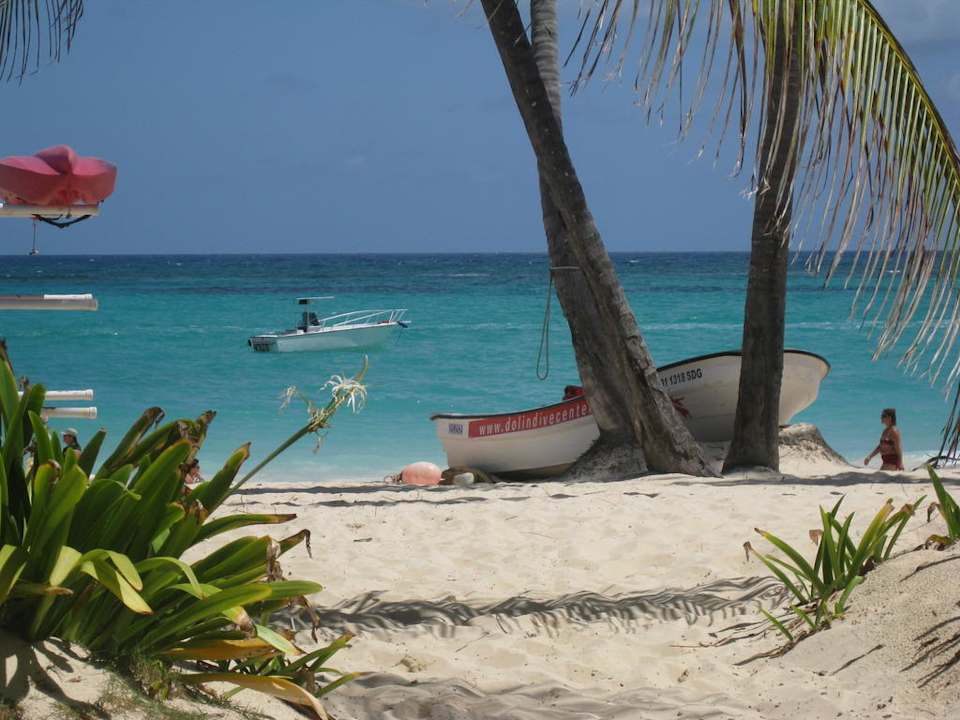 Ruderboot unter Palme Grand Palladium Select Bávaro Resort & Spa